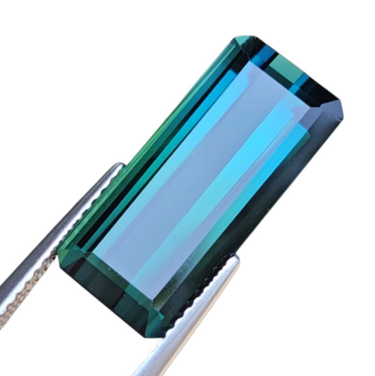 Tourmaline Bi-color 10.16ct